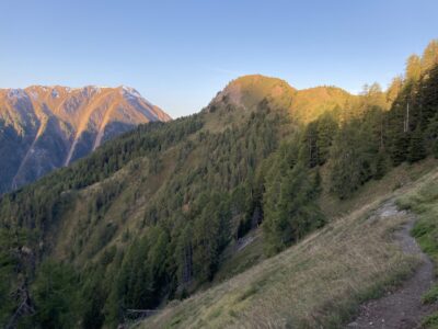 View to Burstini